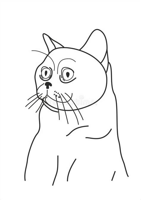 Shocked Cat Illustration Stock Illustration Illustration Of Shock