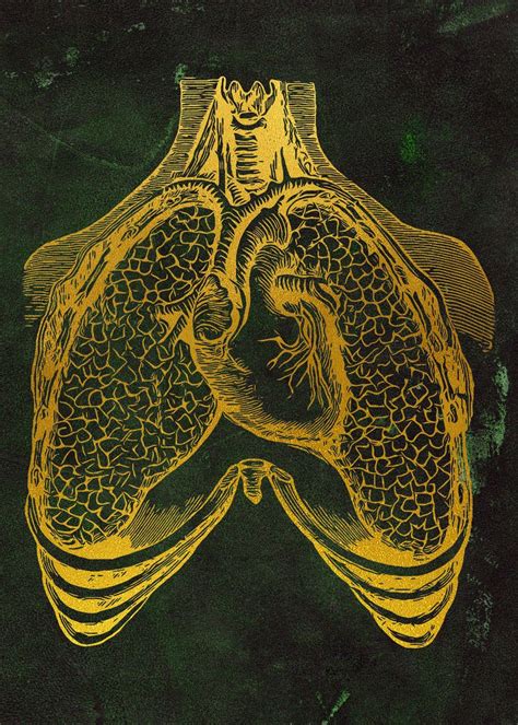 Human Heart And Lungs Poster By Erzebet Prikel Displate