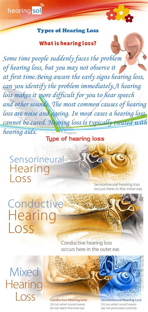 Types Of Hearing Loss Infographics