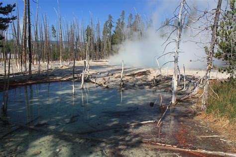 Yellowstone Flickr