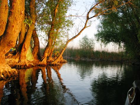 Delta Dunării în Imagini — Angela Călătorește