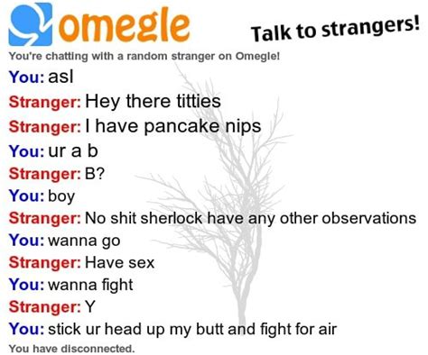Talk To Strangers You Re Chatting With A Random Stranger On Omegle You Asl Stranger Hey