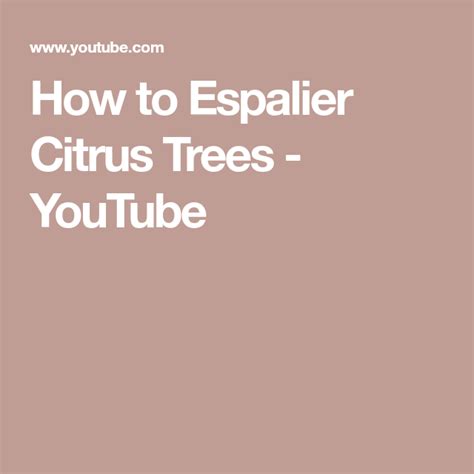 How To Espalier Citrus Trees Youtube Citrus Trees Espalier Fruit