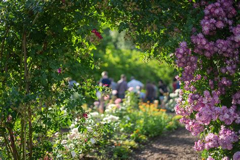 Die woche der botanischen gärten findet vom 12. SALZBURG.ERLEBEN - Botanischer Garten - STADTBEKANNT Salzburg