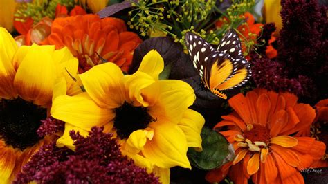 Free Download Fall Flower Arrangements Wallpaper 1920x1080 For Your