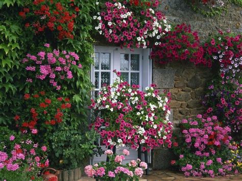You can also upload and share your favorite floral desktop backgrounds. Farmhouse Summer Garden Brittany France | Garden landscape design, French cottage garden, Flower ...