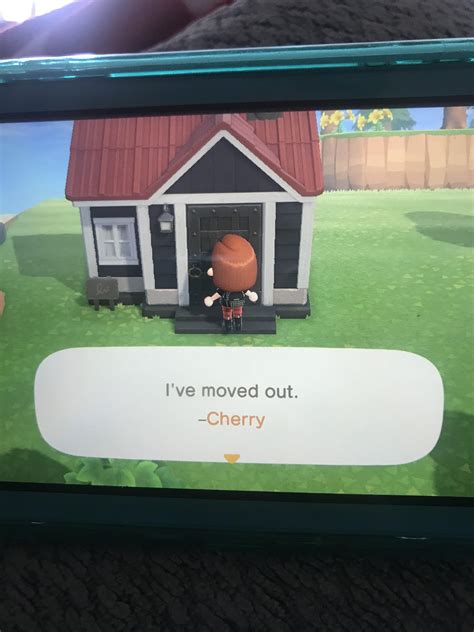 How do you fix this glitch? I want to find Pietro... : r/AnimalCrossing