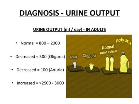 Acute Renal Failure Overview