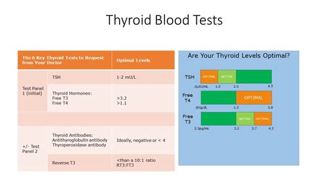 Thyroid Lab Tests Types And Controversies