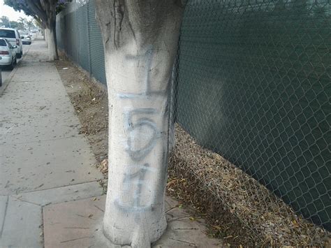 151 street piru | Bloods hoodadvertisement