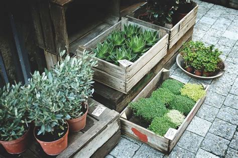 10 Practical Ideas For Eco Friendly Plant Pots Treading