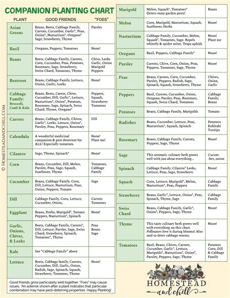 Collection Of Companion Planting Charts Guides And Pdfs World Water