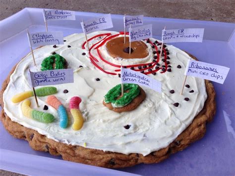 13 City Cell Project Cookie Cakes Photo Plant Cell Cookie Cake
