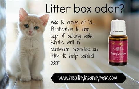 Are essential oils harmful to cats? Pin on Essential Oils and Pets