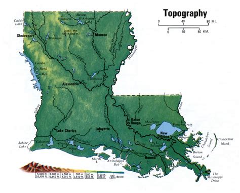Avery island louisiana landscape photograph by chuck kuhn. Landscape Louisiana