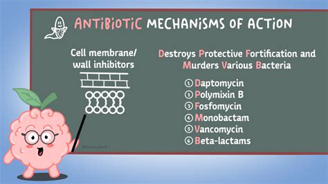 Antibiotics 1 Mechanisms Of Action Simplified Memory Pharm