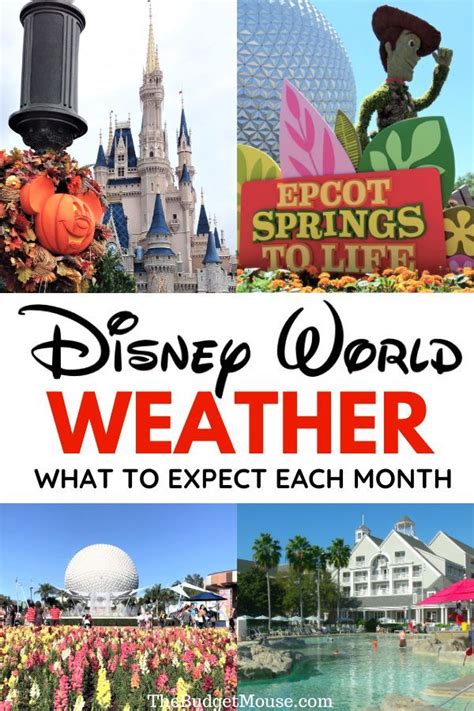 Disney World Weather What To Expect Each Month Artofit