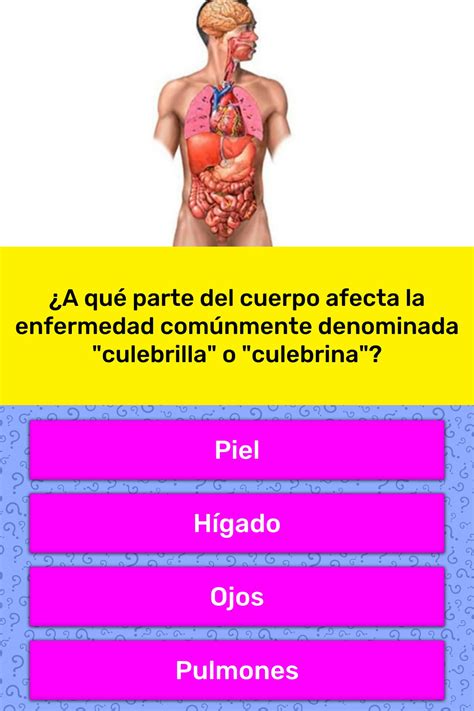Si conoces bien al interlocutor, o es una persona cariñosa, esta respuesta le puede parecer poco sincera o puede creer que le estás ocultando algo. ¿A qué parte del cuerpo afecta la... | La respuesta de ...