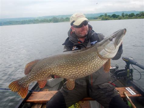 After they fought, they made up. informal (oppose as group) gadda sig samman, gadda ihop sig vbal uttr. Predatorfishing my way by Luis Rasmussen. Sveriges ledande ...