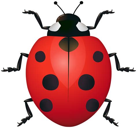 Printable Ladybug Clipart