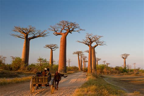Madagascar Landscapes Ralph Paprzycki Photography