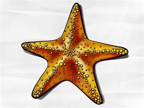 Cartoon fish drawing easy with colour. How to Draw a Starfish: 6 Steps (with Pictures) - wikiHow