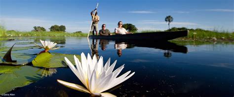Get alerts so you don't miss out. Okavango Delta - Africa Geographic Travel