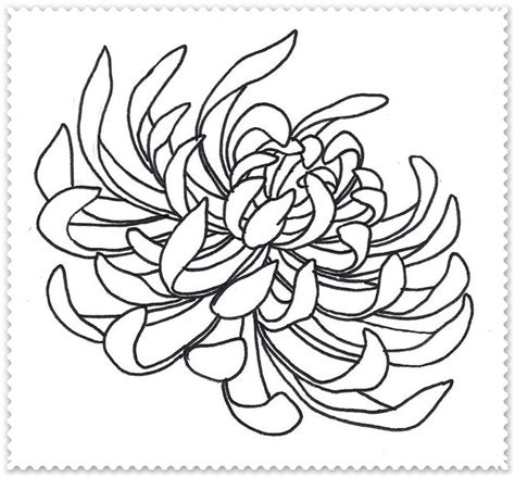 Crizanteme Planse De Colorat