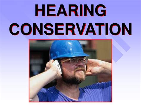 Ppt Hearing Conservation Powerpoint Presentation Free Download Id