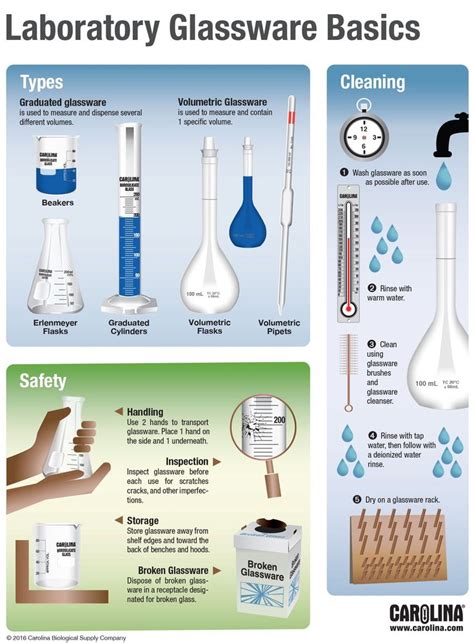 Infographic Laboratory Glassware Basics Laboratory Design Medical Laboratory Science