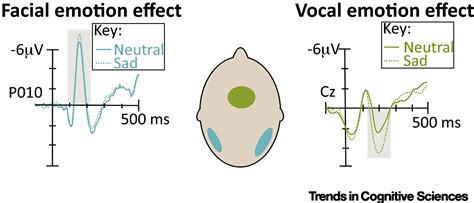 emotion perception from face voice and touch comparisons and convergence trends in cognitive