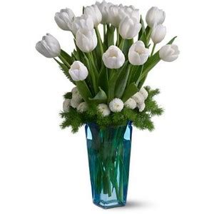 Ukuran umbi tulip tidaklah sebesar umbi amarilis, mirip seperti bawang tapi lebih besar. Bunga Tulip Putih sebagai Permintaan Maaf yang Tulus ...