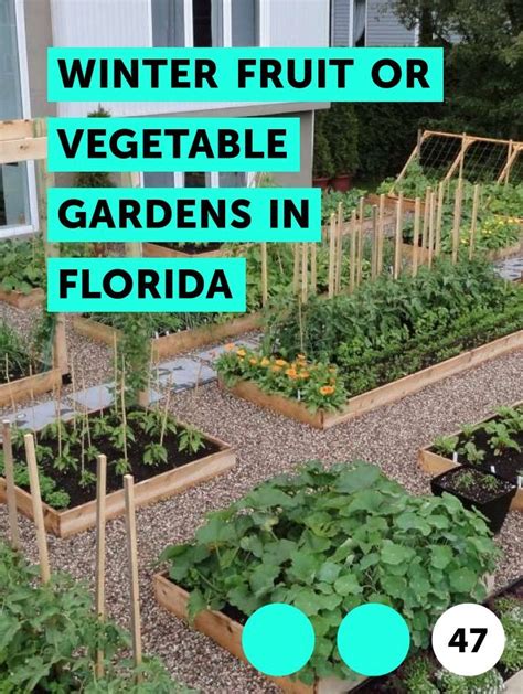 Flowers that grow in florida winter. Pin on Vegetable Garden