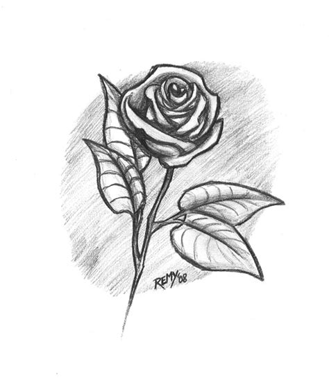 En este manual mostramos cómo dibujar un ramo a lápiz. Dibujos de rosas a lápiz para dibujar - Imagui