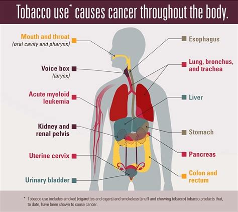 Does Tobacco Cause Cancer It Does Something More Than That