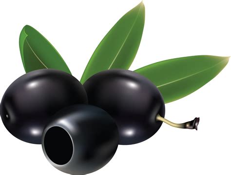 Black Olives Clipart 20 Free Cliparts Download Images On Clipground 2024