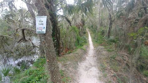 Babe Humper Mountain Biking Trail Lakeland Florida