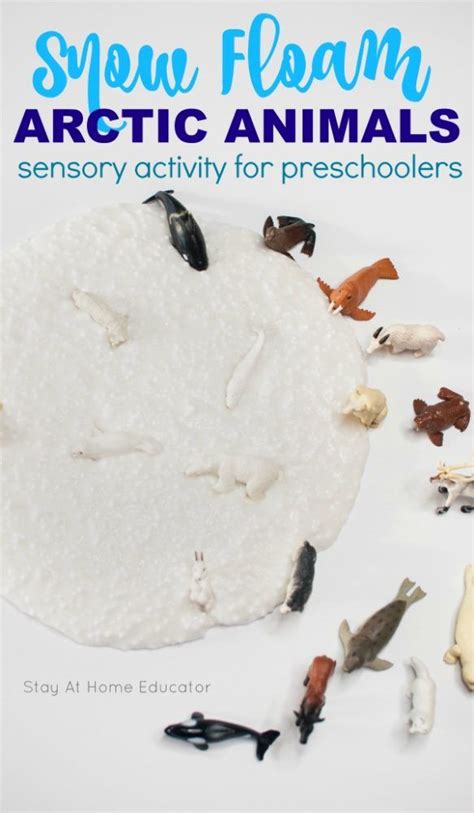 Arctic animals are a fun theme during the winter. Slime Avalanche Preschool Arctic Animal Activity | Animal ...