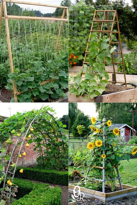 24 Easy DIY Garden Trellis Ideas Plant Structures A Piece Of