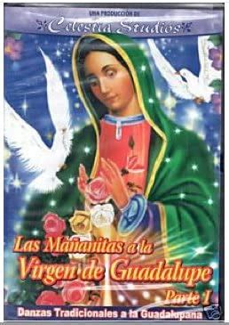 La Virgen De Guadalupe Parte I Danzas A La Guadalupana Movie Poster Sexiz Pix