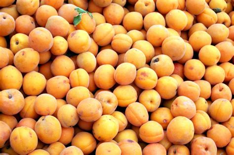 Fresh Apricots Free Stock Photo Public Domain Pictures