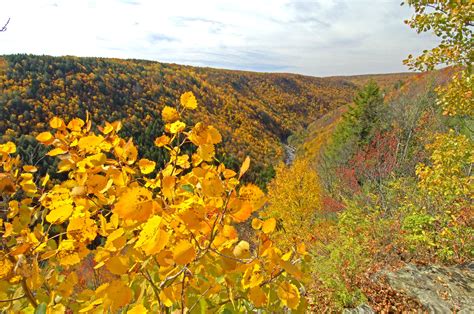 West Virginia Fall Foliage Reports Start Sept 25 2014