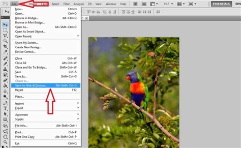 Compress image in kb or mb. How To Reduce Image File Size In Photoshop Without Losing ...