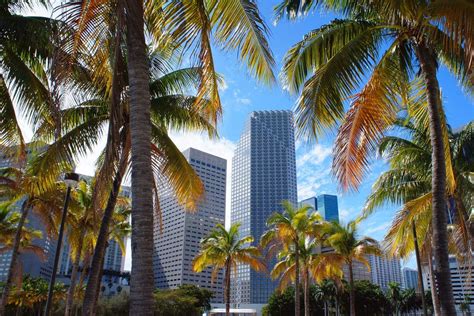 Cancillería confirmó que hay cuatro argentinos que se encuentran desaparecidos luego de la catástrofe. Qué visitar en Miami 2021: Lugares de interés importantes ...