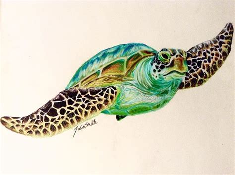Realistic Turtle Drawing Color Drawing A Turtle Is A Great Experience