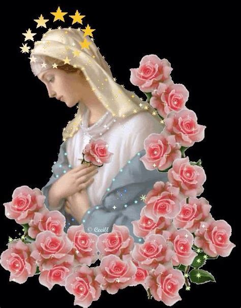 Mystical Rose Blessed Mother Mary Mother Mary Blessed Virgin Mary
