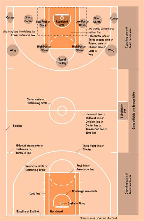 Basketball Court Dimensions Guide Australia Fiba And Nba Measurements