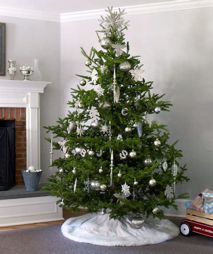 Maybe you would like to learn more about one of these? Elegant Evergreen Christmas Tree Pictures, Photos, and ...