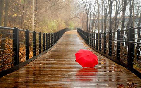 Download Beautiful Wallpapers Of Rainy Season Gallery