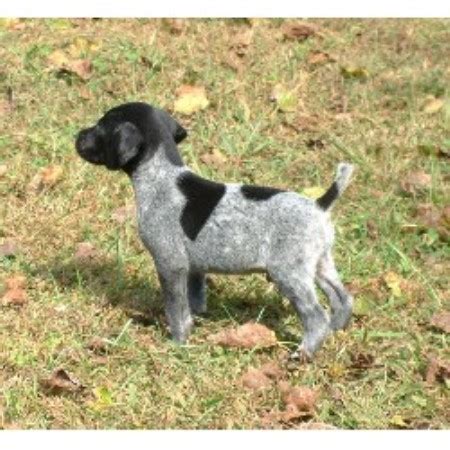 Our german shorthair puppies are serious hunting dogs that excel at both upland and waterfowl and are equally comfortable pursuing grouse, woodcock, ducks and geese. Shady Meadows Kennel, German Shorthaired Pointer Breeder ...